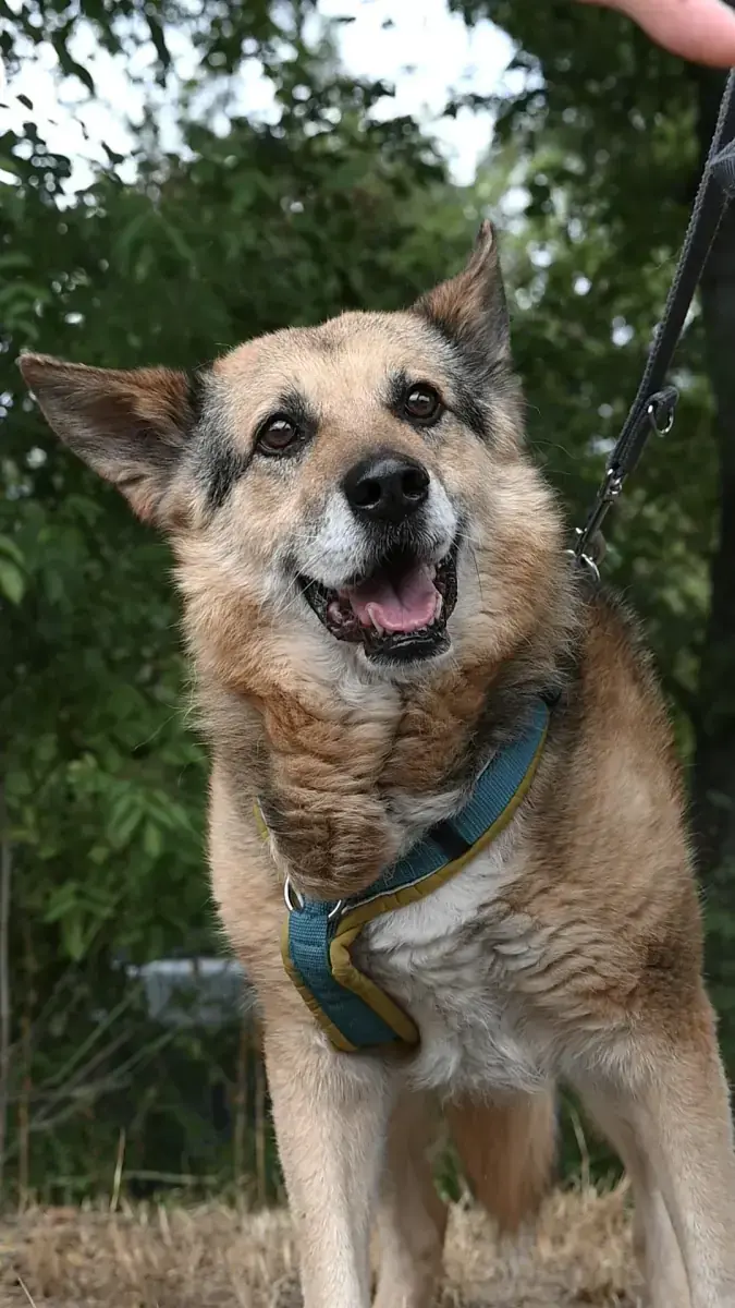 Leevi -  - Bild 2