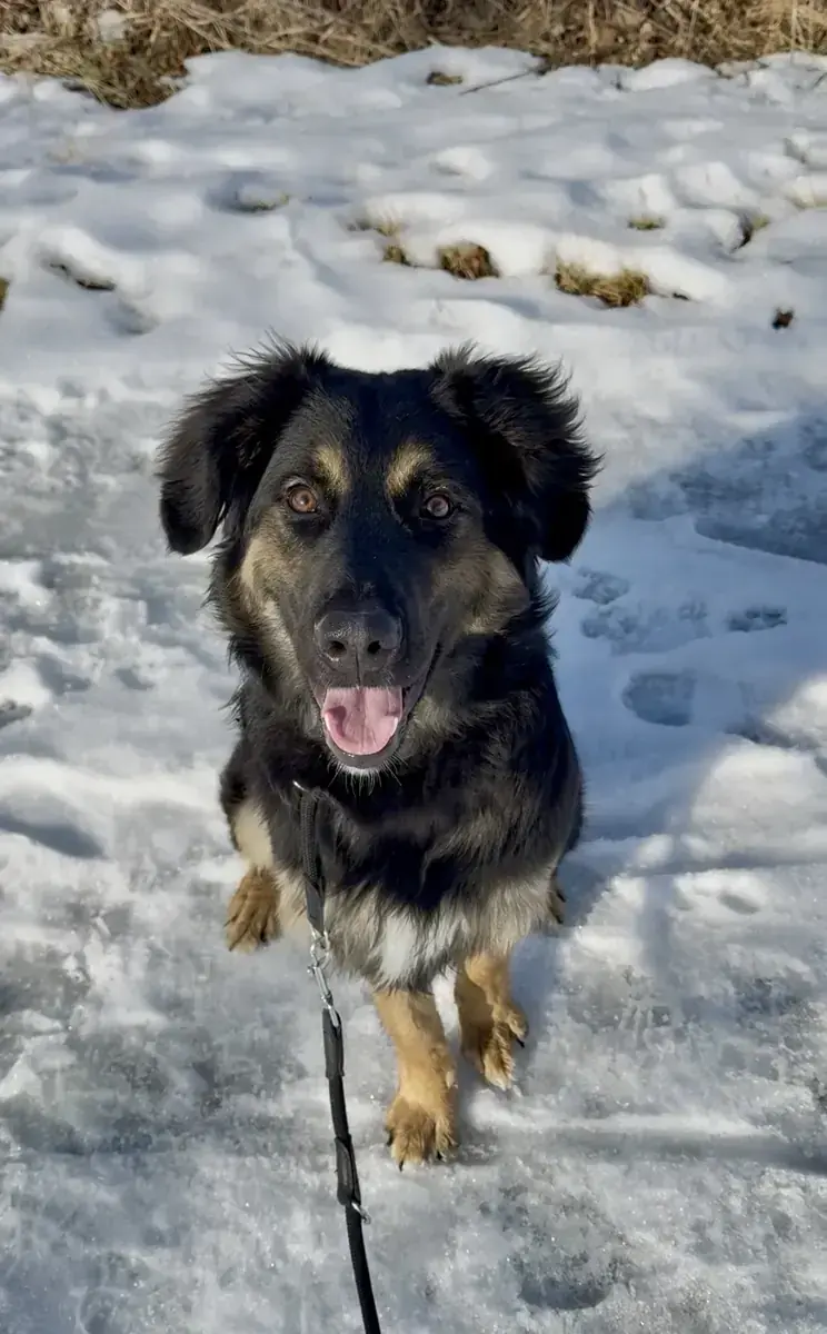 Lucky -  - Bild 1