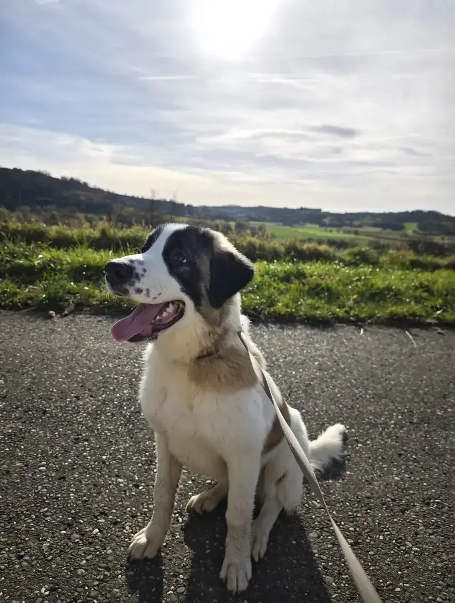 Billy -  - Bild 2