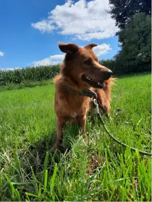 Tassilo -  - Bild 4