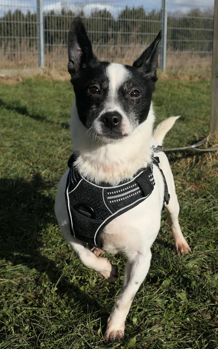 Frida -  - Bild 2