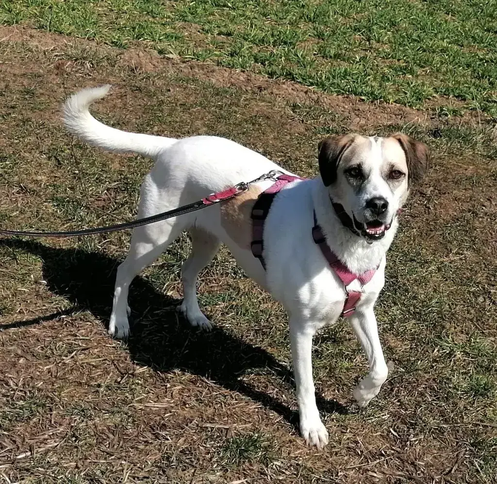 Frieda -  - Bild 2