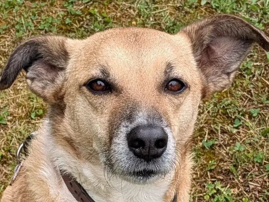 Zuri -  - Bild 1