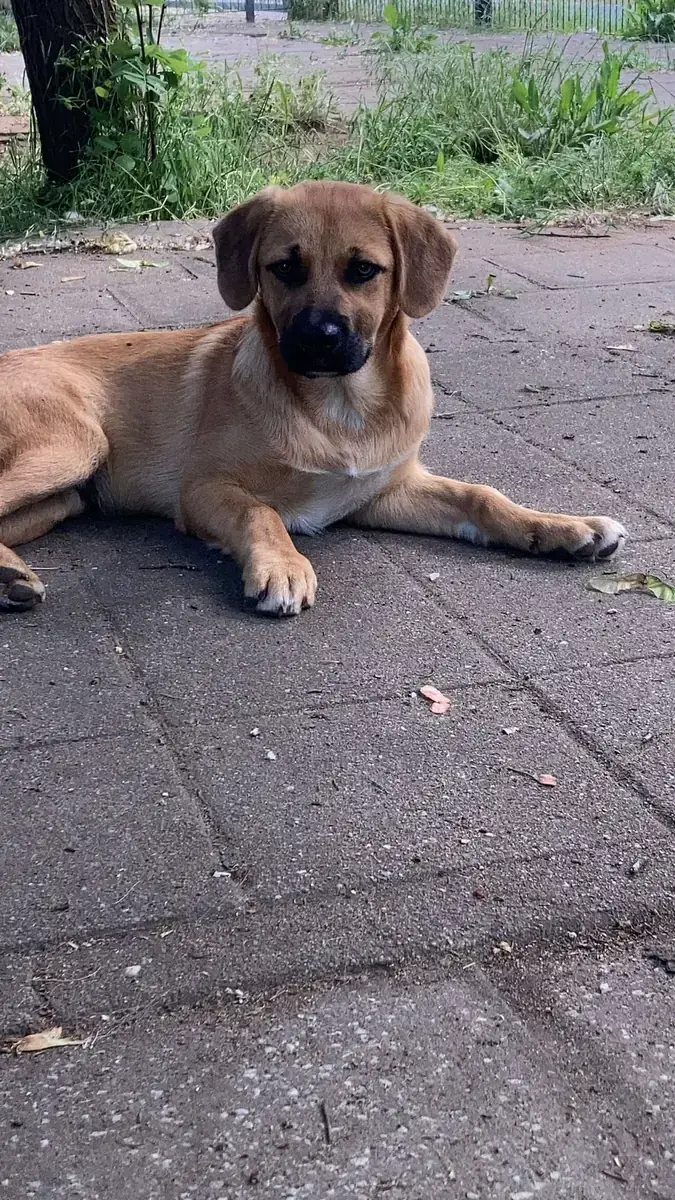 Billy -  - Bild 3
