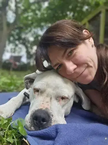 Margo - Dogo Argentino - Bild 8