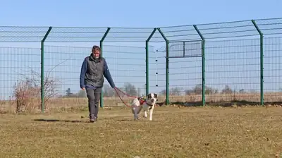 Merlin – Hund – Bild 14