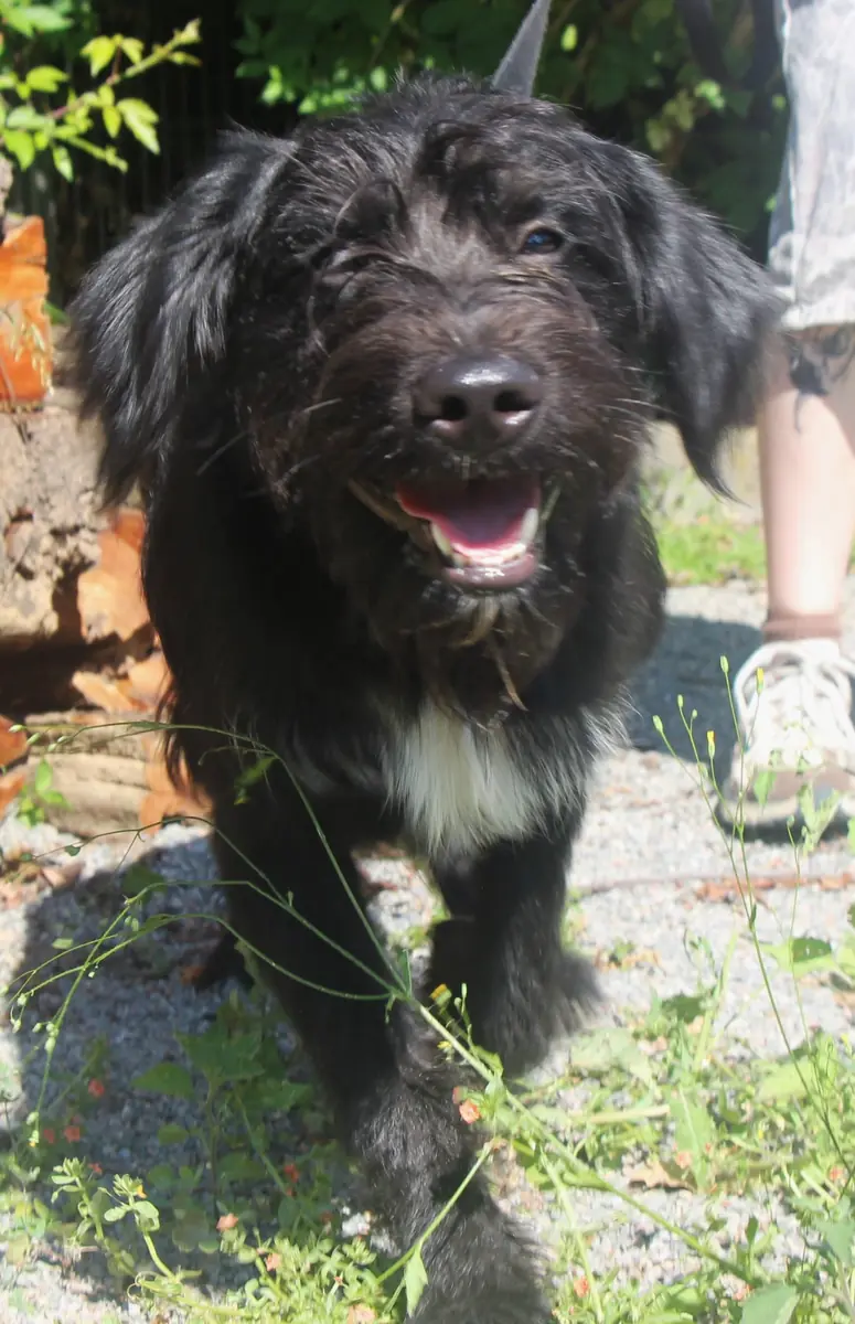 Freddy -  - Bild 1