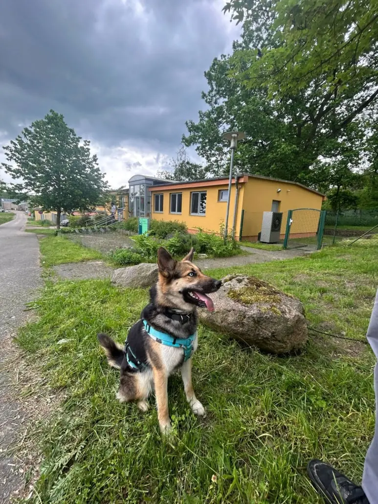 Sky -  - Bild 4
