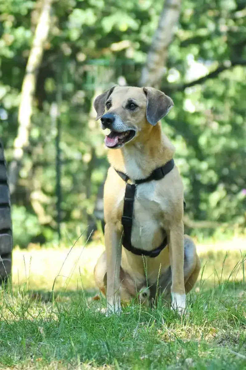 Spike -  - Bild 5