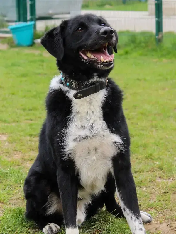 Spike -  - Bild 5