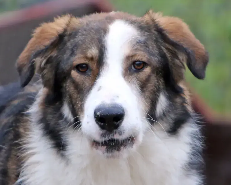 Maggie -  - Bild 1