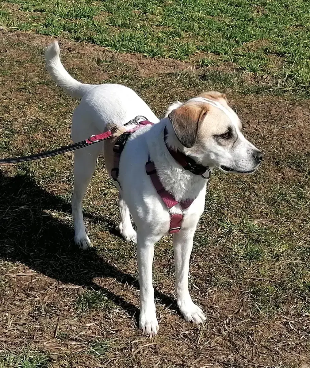 Frieda -  - Bild 3