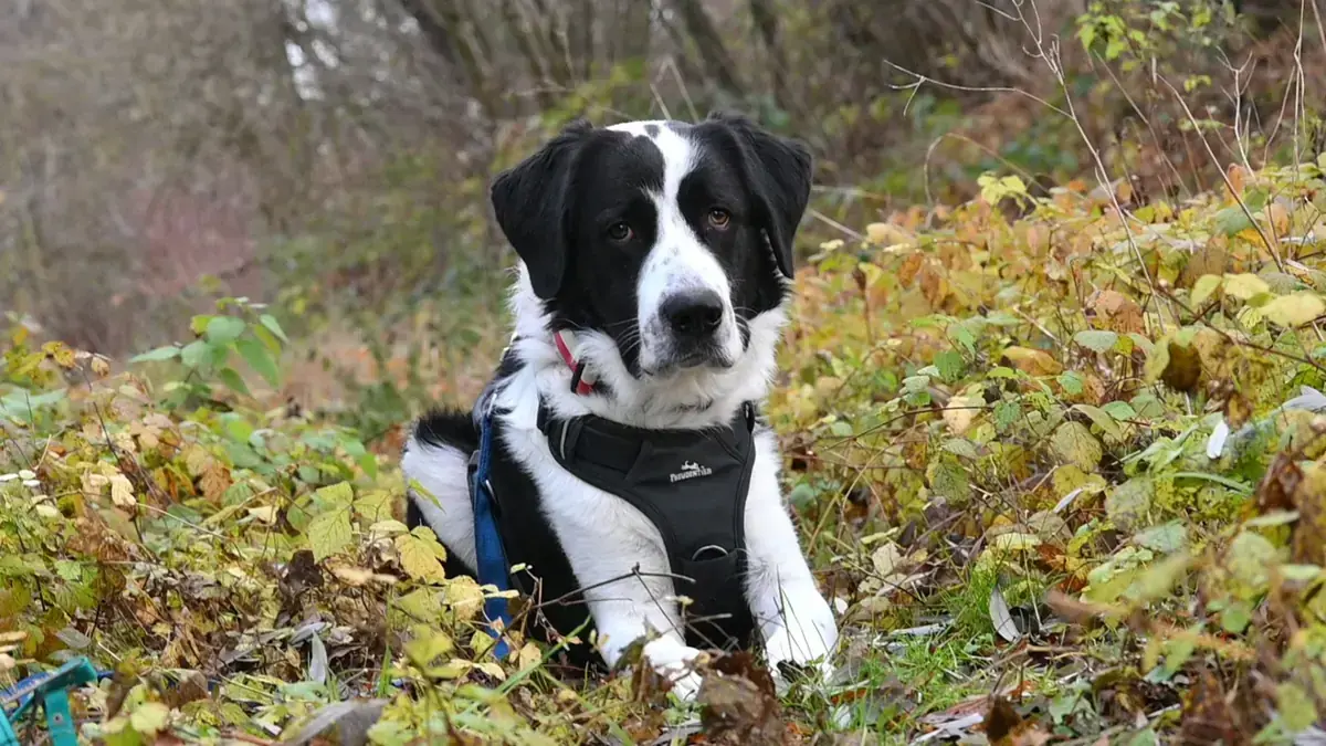 Sammy -  - Bild 6