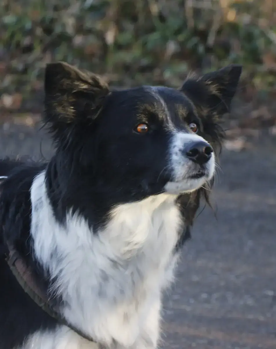 Emmi -  - Bild 4