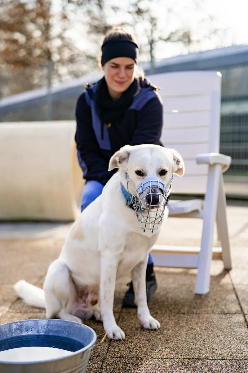 Samy -  - Bild 6