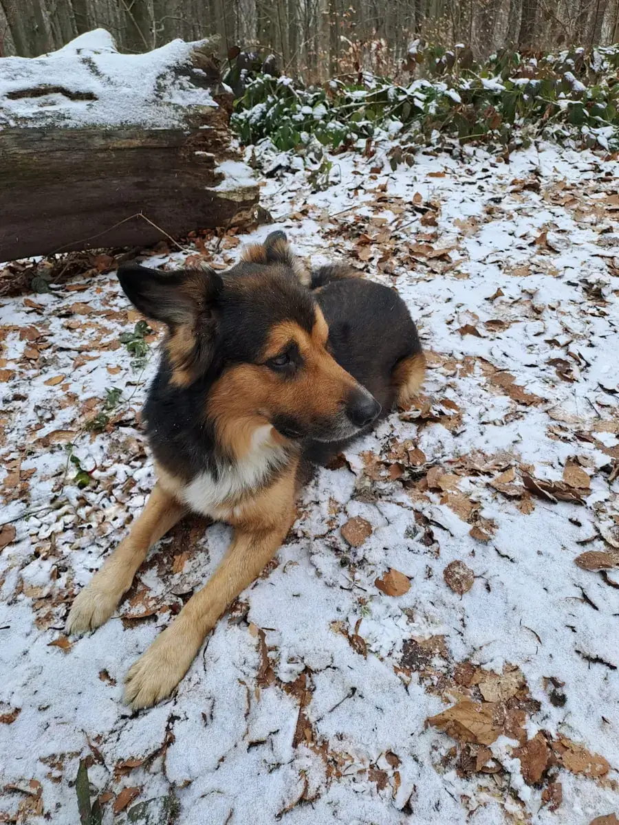 Rocky -  - Bild 4