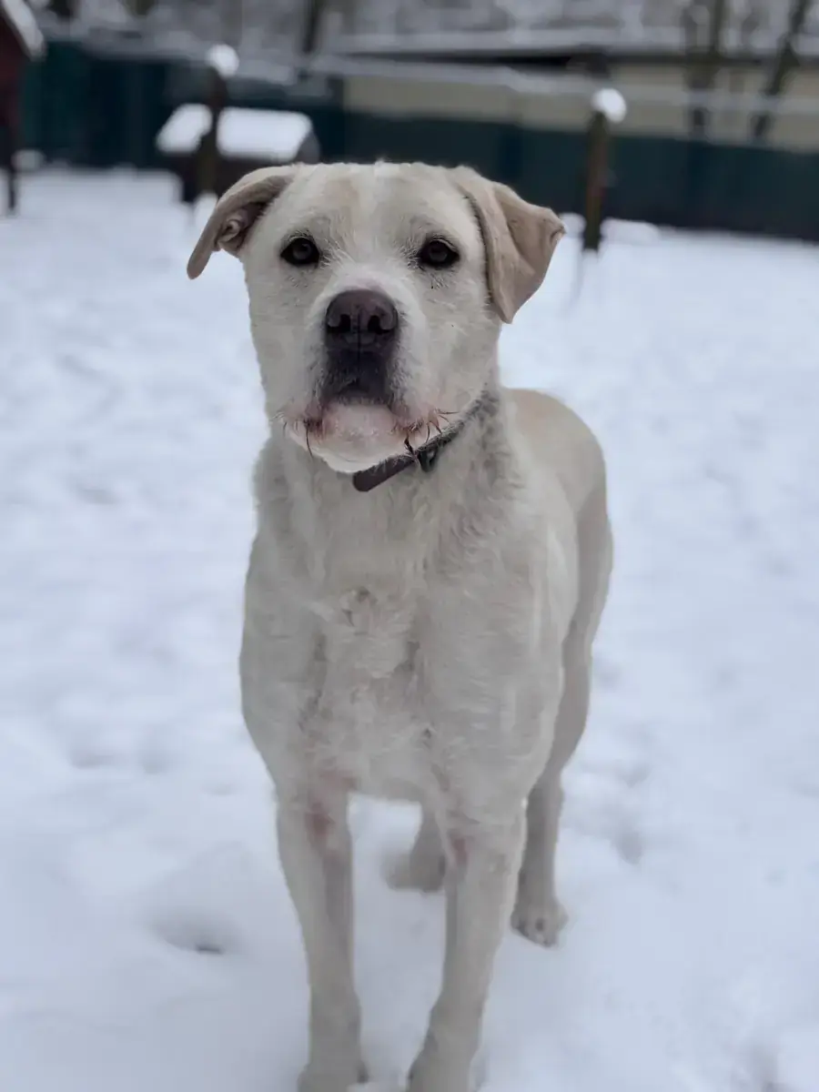 Finley -  - Bild 2