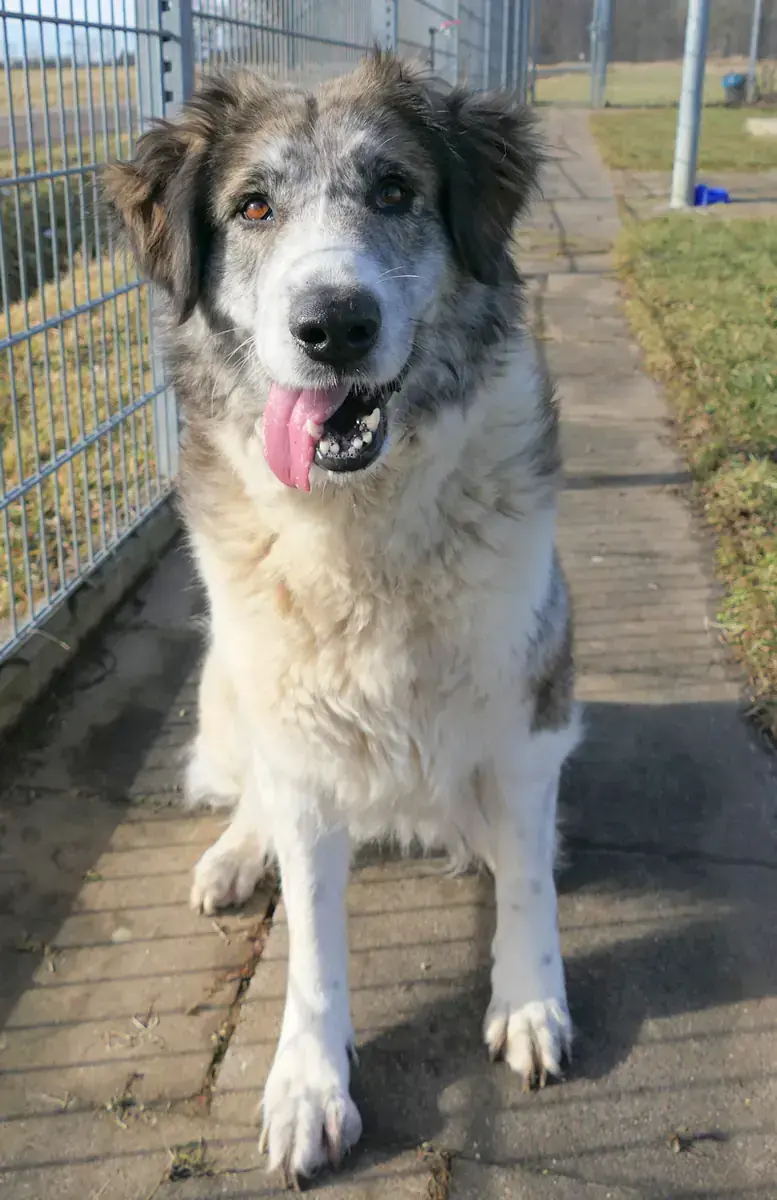 Marla -  - Bild 3