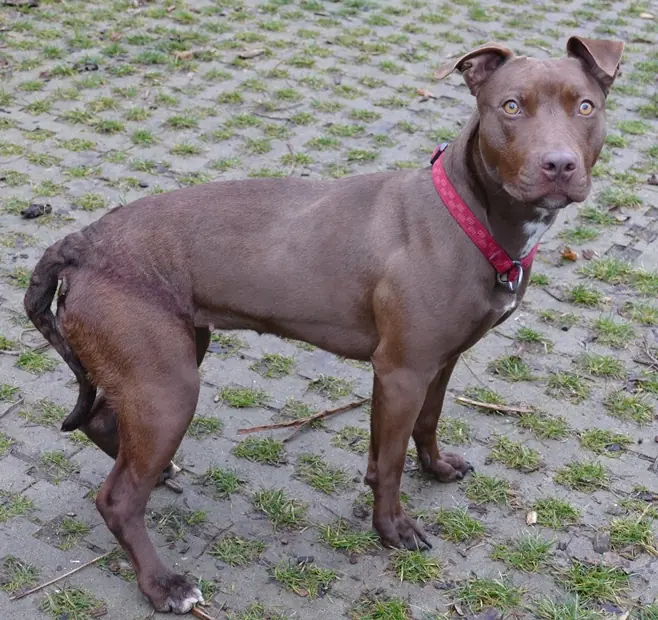 Heidi -  - Bild 2