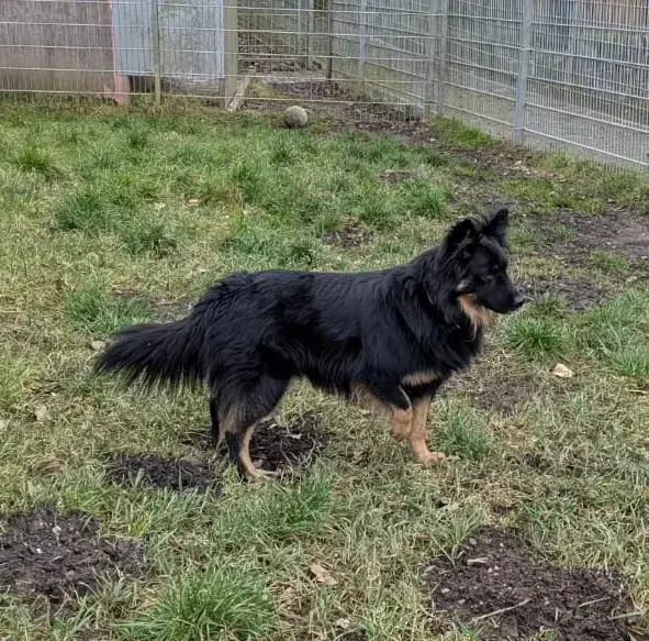 Kiki -  - Bild 1