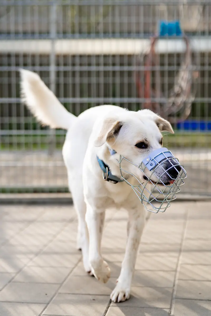 Samy -  - Bild 4