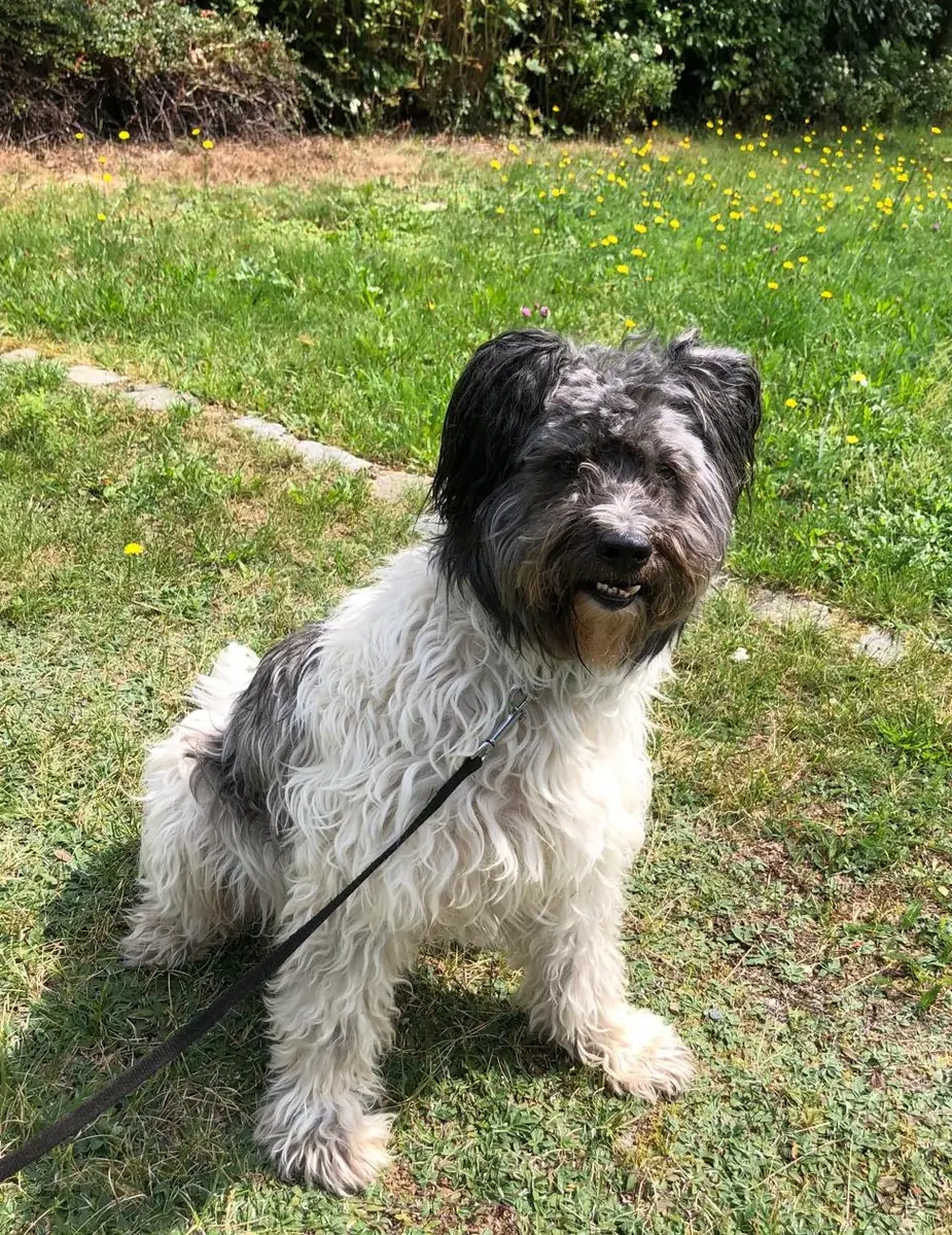 Paco -  - Bild 5