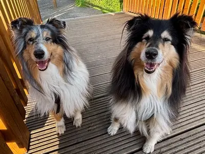 Gracy & Enny -  - Bild 1