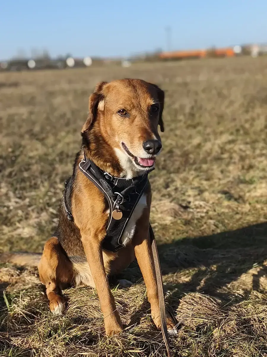 Rico -  - Bild 1