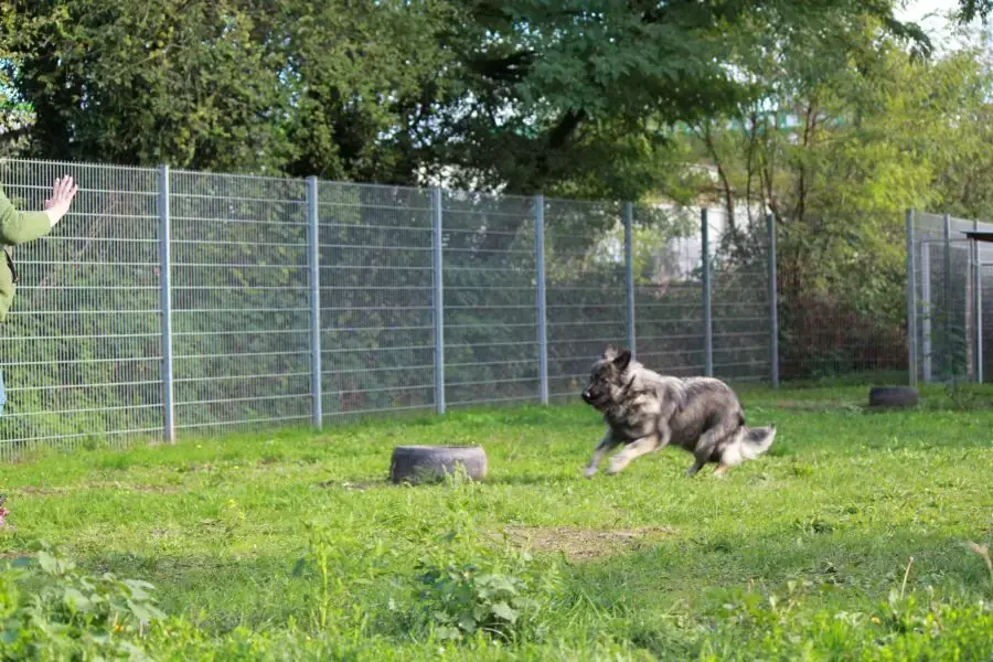 Rocky -  - Bild 20
