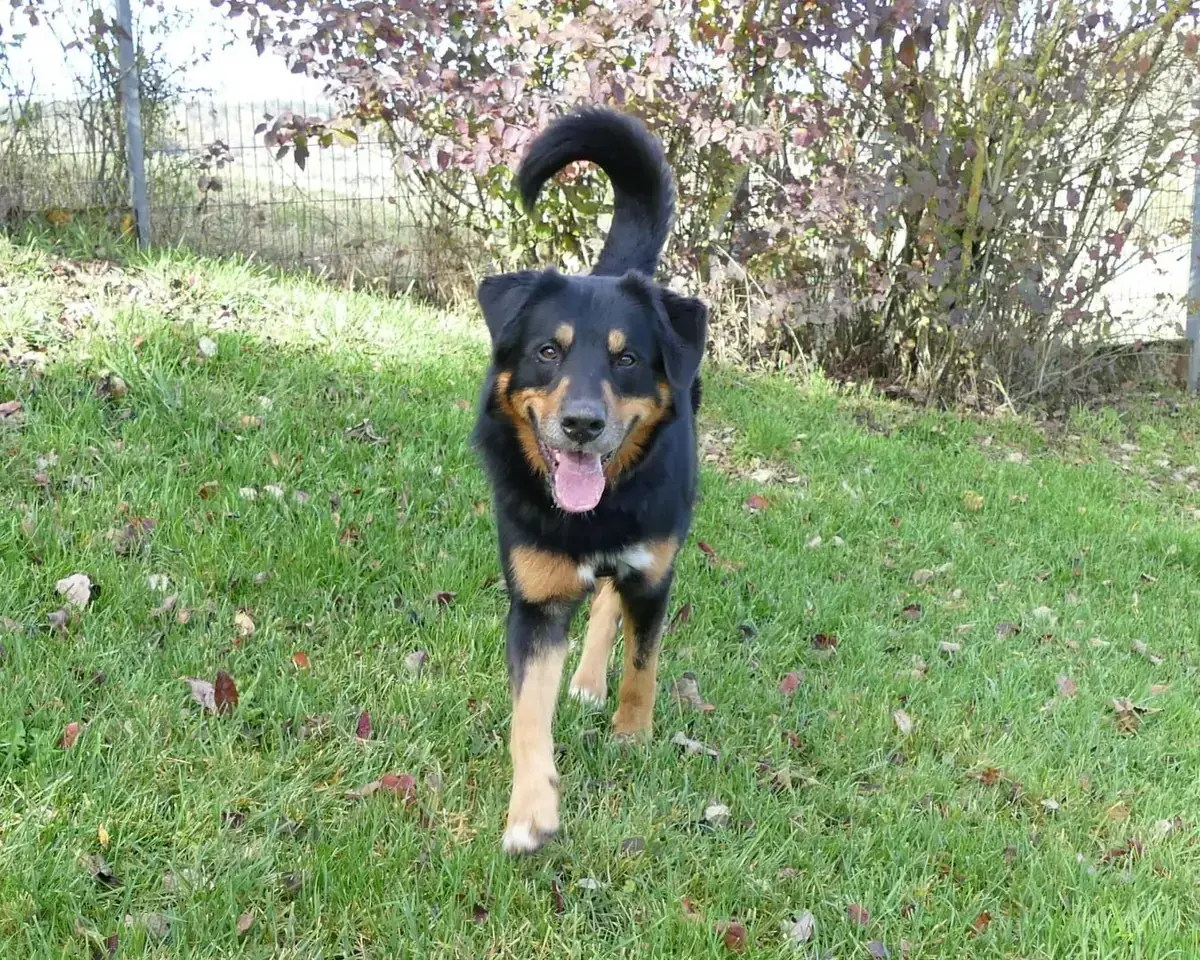 Nero -  - Bild 8