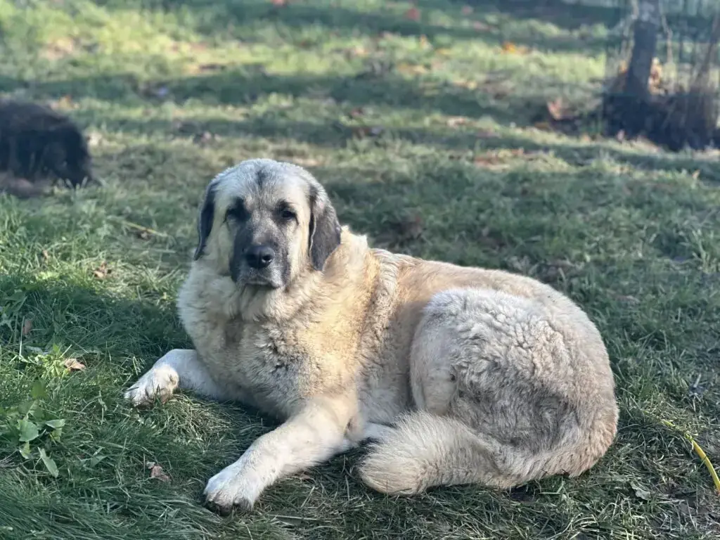 Zeus -  - Bild 1