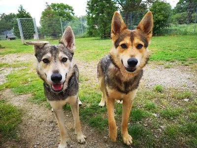 Freddy & Finn -  - Bild 1