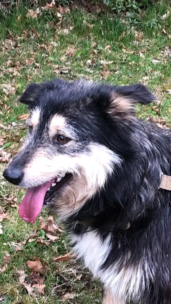 Greta -  - Bild 2