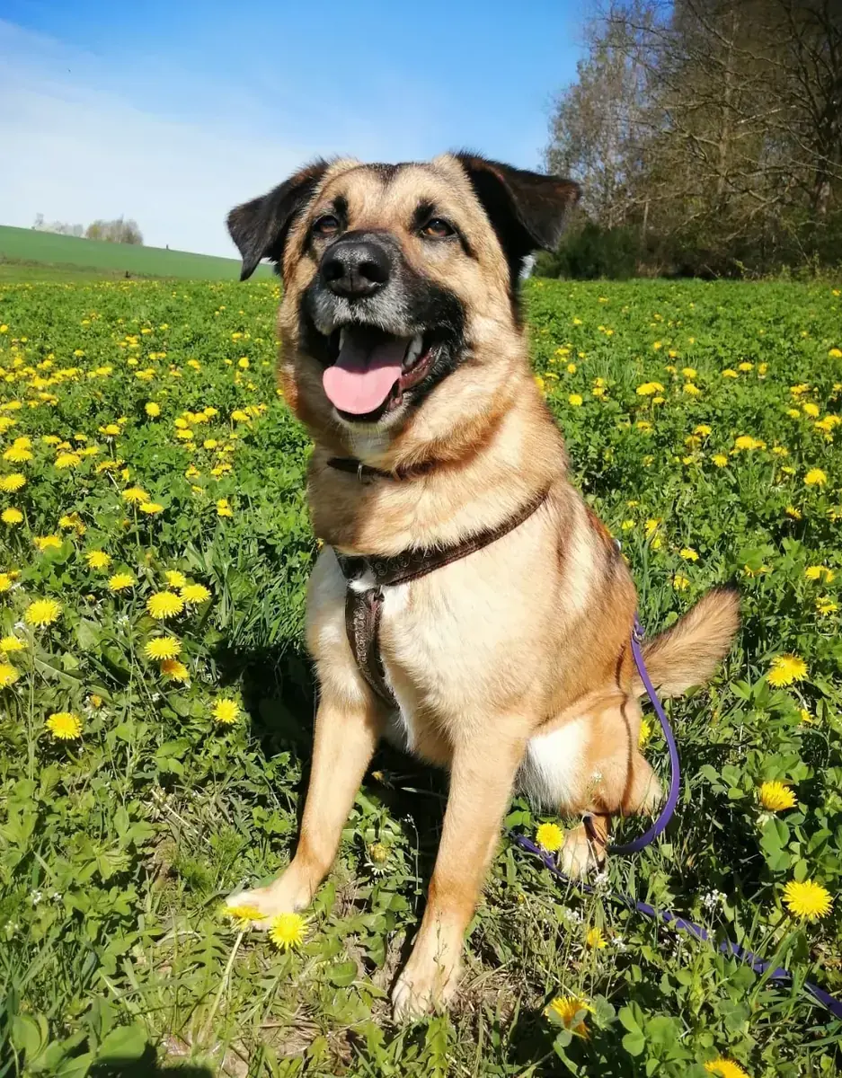 Barry -  - Bild 4