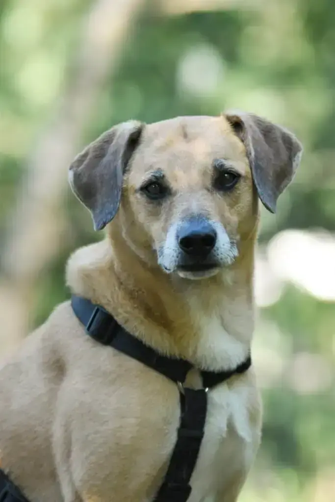 Spike -  - Bild 1