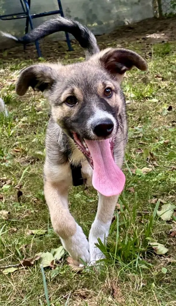 Titus -  - Bild 1