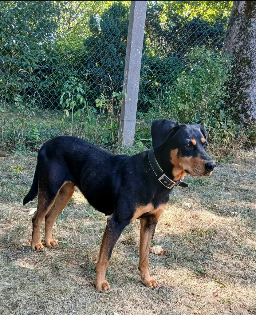 Emmi -  - Bild 5