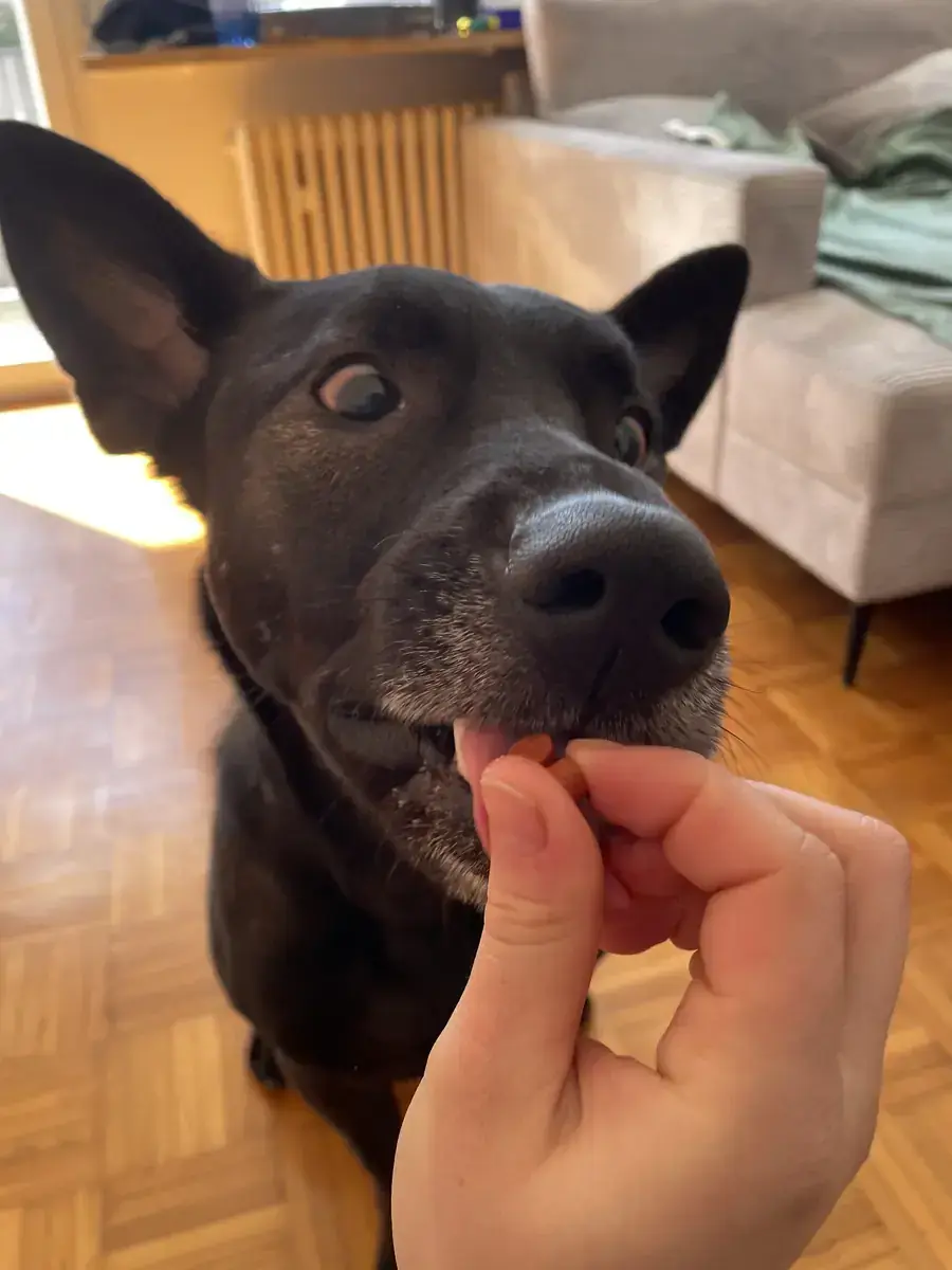 Rico -  - Bild 3
