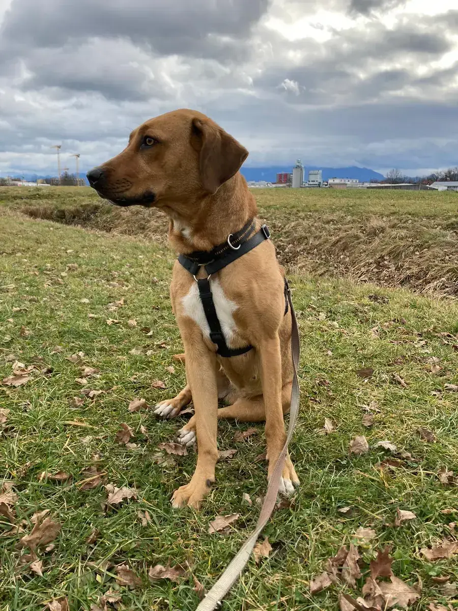 Penny -  - Bild 3