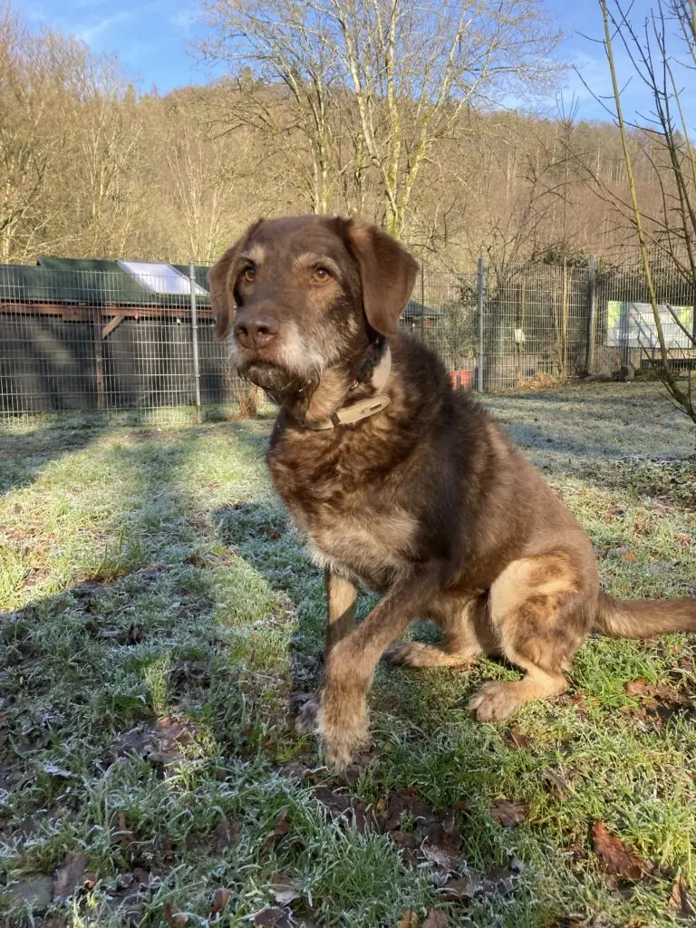 Max -  - Bild 7