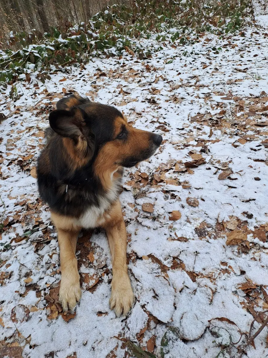 Rocky -  - Bild 5