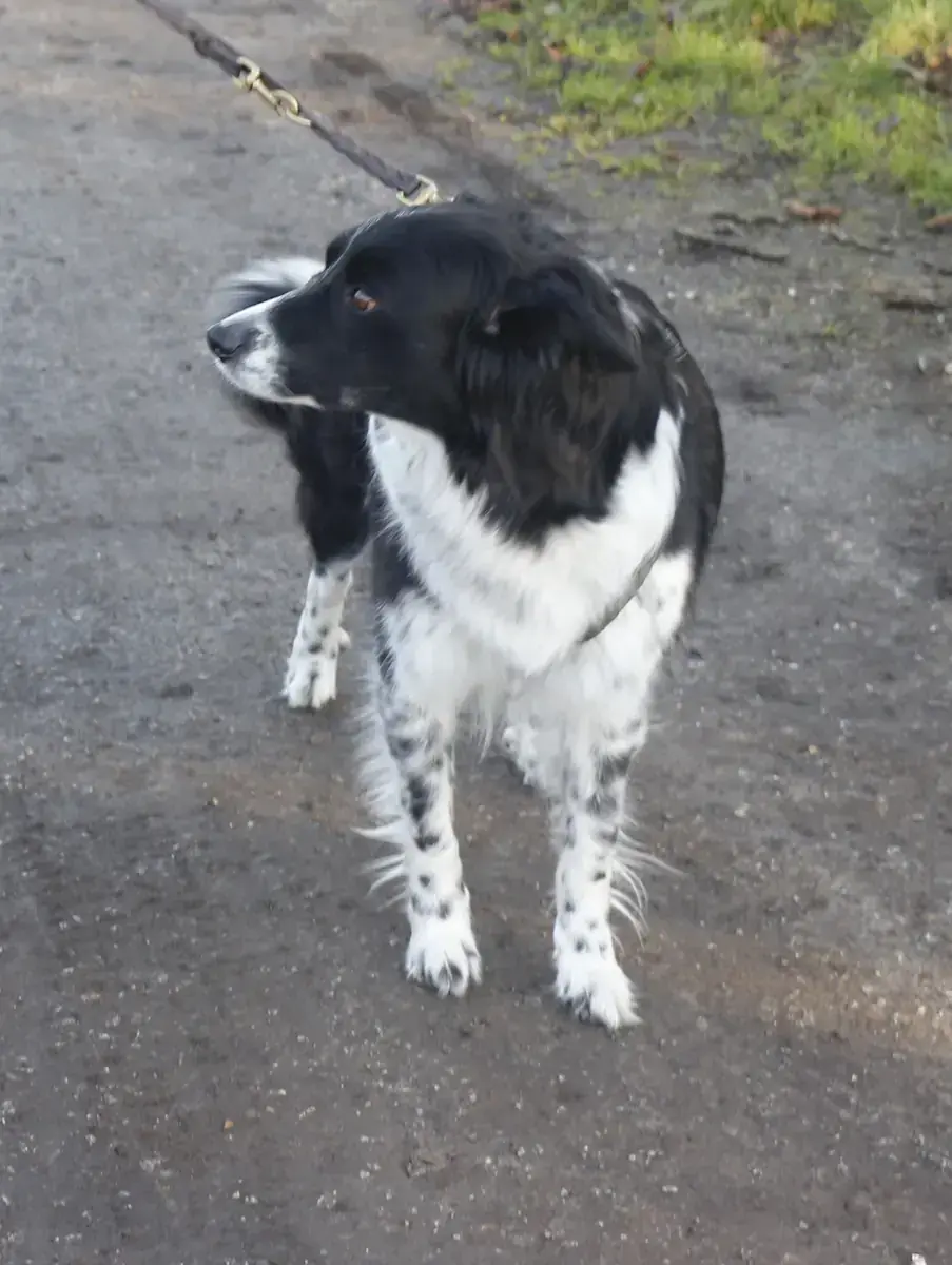 Emmi -  - Bild 2