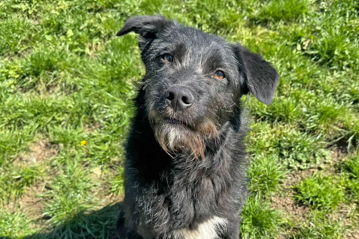 Gerda -  - Bild 1