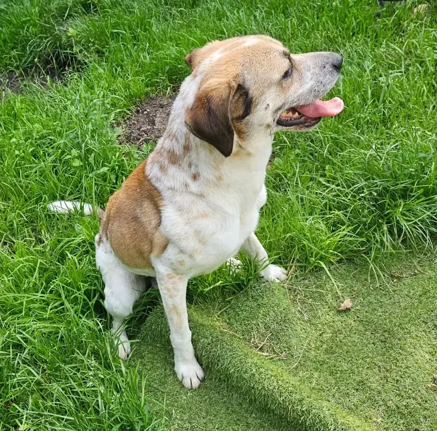 Marley -  - Bild 2