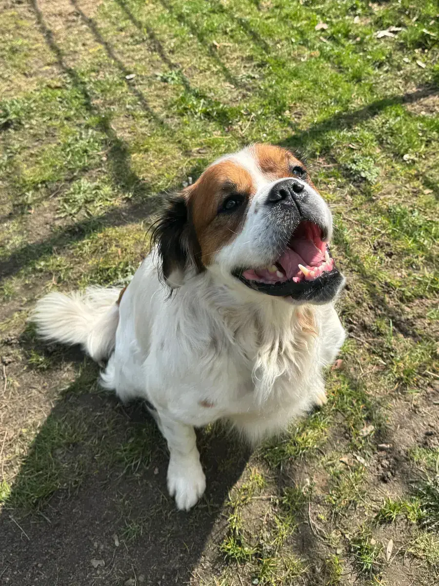Timo -  - Bild 2