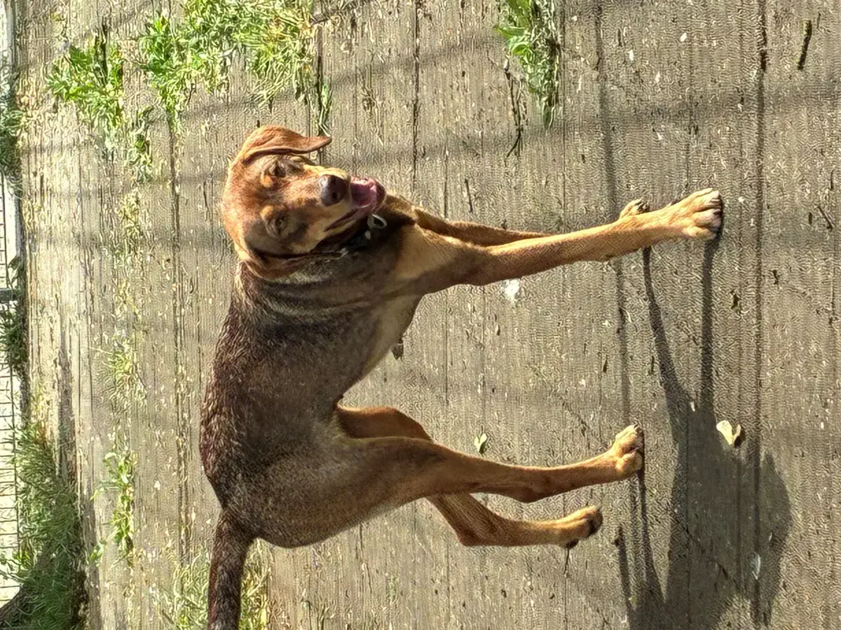 Tilda -  - Bild 5